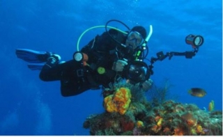Buceo en arrecife